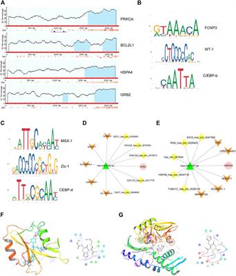 Epigenetic Biomarkers Screening of Non-Coding RNA and DNA Methylation Based on Peripheral Blood Monocytes in Smokers